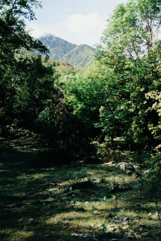 Les Pyrénées près de l’atelier Koshi
